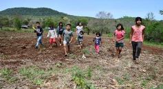 Foto de la galería: Postales de las comunidades mbya del valle del Cuñá Pirú