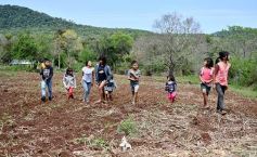 Foto de la galería: Postales de las comunidades mbya del valle del Cuñá Pirú