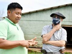 Foto de la galería: Postales de las comunidades mbya del valle del Cuñá Pirú