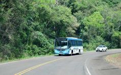 Foto de la galería: Postales de las comunidades mbya del valle del Cuñá Pirú