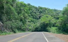 Foto de la galería: Postales de las comunidades mbya del valle del Cuñá Pirú
