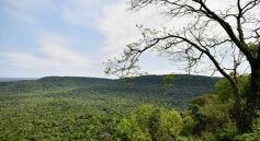 Foto de la galería: Postales de las comunidades mbya del valle del Cuñá Pirú