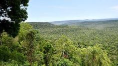 Foto de la galería: Postales de las comunidades mbya del valle del Cuñá Pirú
