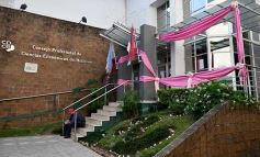 Foto de la galería: Fuerte campaña rosa para concientizar sobre el Cáncer de Mama, sobre la calle Bolívar de Posadas