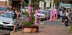 Foto de la galería: Fuerte campaña rosa para concientizar sobre el Cáncer de Mama, sobre la calle Bolívar de Posadas