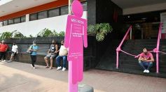 Foto de la galería: Fuerte campaña rosa para concientizar sobre el Cáncer de Mama, sobre la calle Bolívar de Posadas