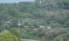 Foto de la galería: MM Bioenergía tiene casi todo listo para generar energía a través de biomasa