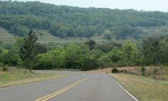 Foto de la galería: MM Bioenergía tiene casi todo listo para generar energía a través de biomasa