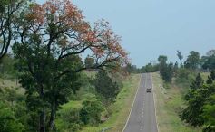 Foto de la galería: MM Bioenergía tiene casi todo listo para generar energía a través de biomasa