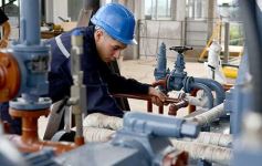 Foto de la galería: MM Bioenergía tiene casi todo listo para generar energía a través de biomasa