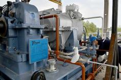 Foto de la galería: MM Bioenergía tiene casi todo listo para generar energía a través de biomasa