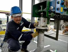 Foto de la galería: MM Bioenergía tiene casi todo listo para generar energía a través de biomasa