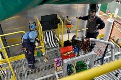 Foto de la galería: MM Bioenergía tiene casi todo listo para generar energía a través de biomasa