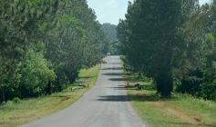 Foto de la galería: La piscicultura cada vez se consolida más en Campo Viera