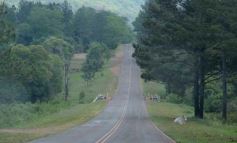 Foto de la galería: La piscicultura cada vez se consolida más en Campo Viera