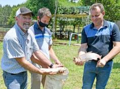 Foto de la galería: La piscicultura cada vez se consolida más en Campo Viera