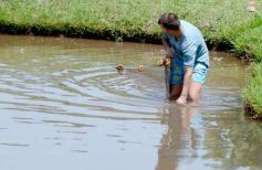 Foto de la galería: La piscicultura cada vez se consolida más en Campo Viera