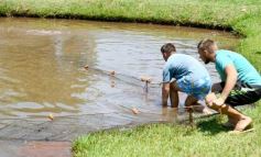Foto de la galería: La piscicultura cada vez se consolida más en Campo Viera