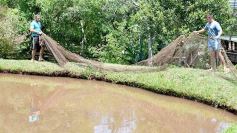Foto de la galería: La piscicultura cada vez se consolida más en Campo Viera