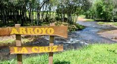 Foto de la galería: La piscicultura cada vez se consolida más en Campo Viera