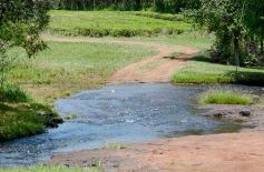 Foto de la galería: La piscicultura cada vez se consolida más en Campo Viera