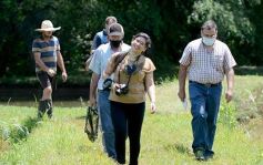 Foto de la galería: La piscicultura cada vez se consolida más en Campo Viera