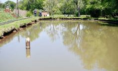 Foto de la galería: La piscicultura cada vez se consolida más en Campo Viera