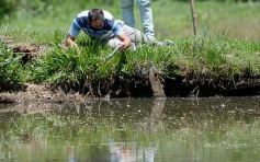Foto de la galería: La piscicultura cada vez se consolida más en Campo Viera