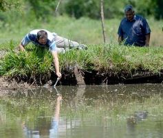 Foto de la galería: La piscicultura cada vez se consolida más en Campo Viera