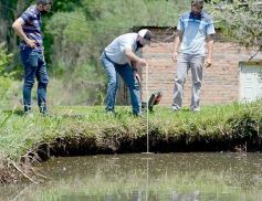 Foto de la galería: La piscicultura cada vez se consolida más en Campo Viera