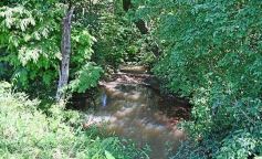 Foto de la galería: La piscicultura cada vez se consolida más en Campo Viera