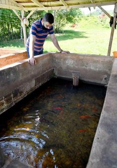 Foto de la galería: La piscicultura cada vez se consolida más en Campo Viera