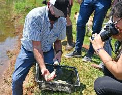 Foto de la galería: La piscicultura cada vez se consolida más en Campo Viera