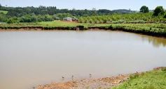 Foto de la galería: La piscicultura cada vez se consolida más en Campo Viera