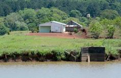 Foto de la galería: La piscicultura cada vez se consolida más en Campo Viera