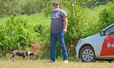 Foto de la galería: La piscicultura cada vez se consolida más en Campo Viera