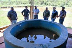 Foto de la galería: La piscicultura cada vez se consolida más en Campo Viera