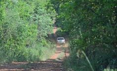 Foto de la galería: La piscicultura cada vez se consolida más en Campo Viera