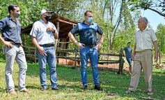 Foto de la galería: La piscicultura cada vez se consolida más en Campo Viera