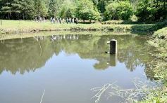 Foto de la galería: La piscicultura cada vez se consolida más en Campo Viera