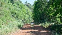 Foto de la galería: La piscicultura cada vez se consolida más en Campo Viera