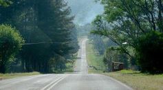 Foto de la galería: La piscicultura cada vez se consolida más en Campo Viera