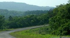 Foto de la galería: La piscicultura cada vez se consolida más en Campo Viera