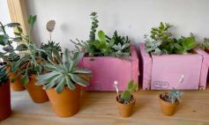 Foto de la galería: 14 emprendedoras de Posadas le dieron vida a Casa Abierta