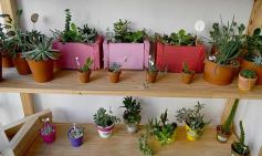 Foto de la galería: 14 emprendedoras de Posadas le dieron vida a Casa Abierta