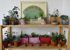 Foto de la galería: 14 emprendedoras de Posadas le dieron vida a Casa Abierta