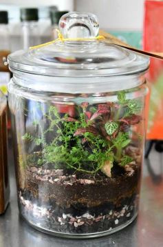 Foto de la galería: 14 emprendedoras de Posadas le dieron vida a Casa Abierta