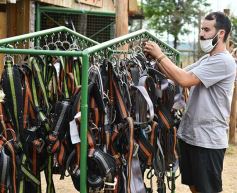Foto de la galería: Tarde de actividades de alumnos del Colegio del Carmen en la Granja Don Víctor