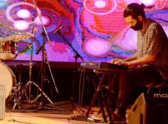 Foto de la galería: La Provincia homenajeó a Andresito con una transmisión de cinco horas en la que participaron 130 artistas