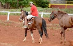 Foto de la galería: El futuro de la equitación, en un certamen de primer nivel